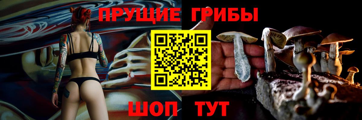 Псилоцибиновые грибы Cubensis  Вход с VPN  Мегион 